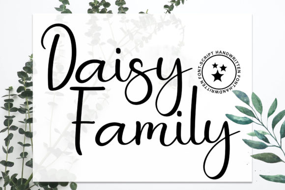 Daisy Family Font – A Premium Script Typeface for Creative Projects